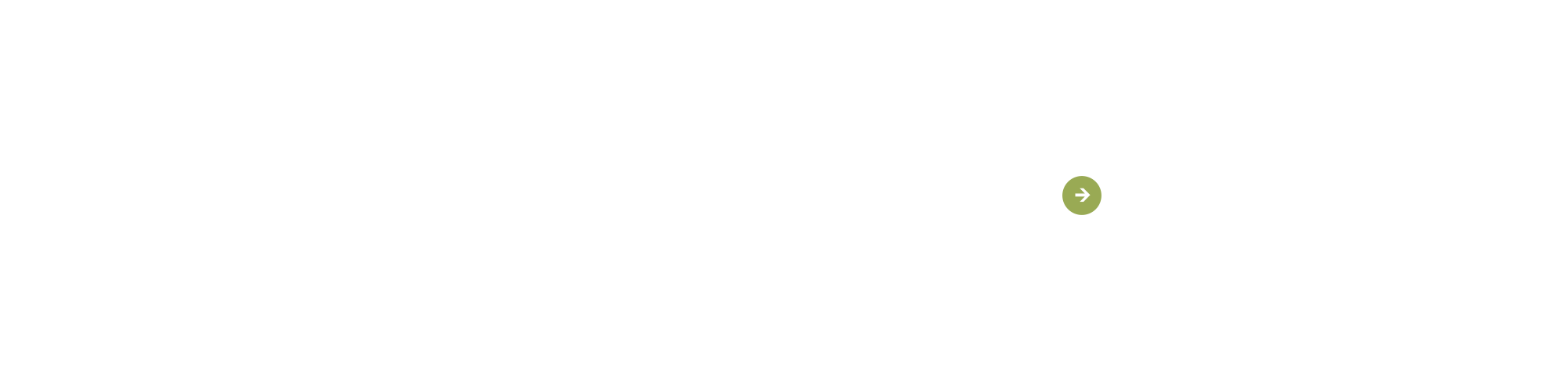 bnr_strengths_cover